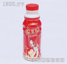邵東大將食品飲料廠